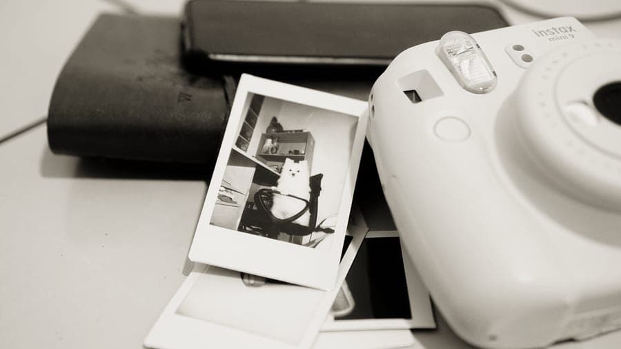 Prints of several different sizes laid out side by side on a desk